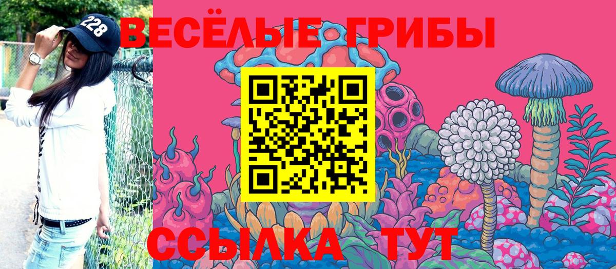 Архангельск  где можно купить   Вход с VPN  Псилоцибиновые грибы Cubensis 